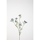 Nigella Spray 71cm