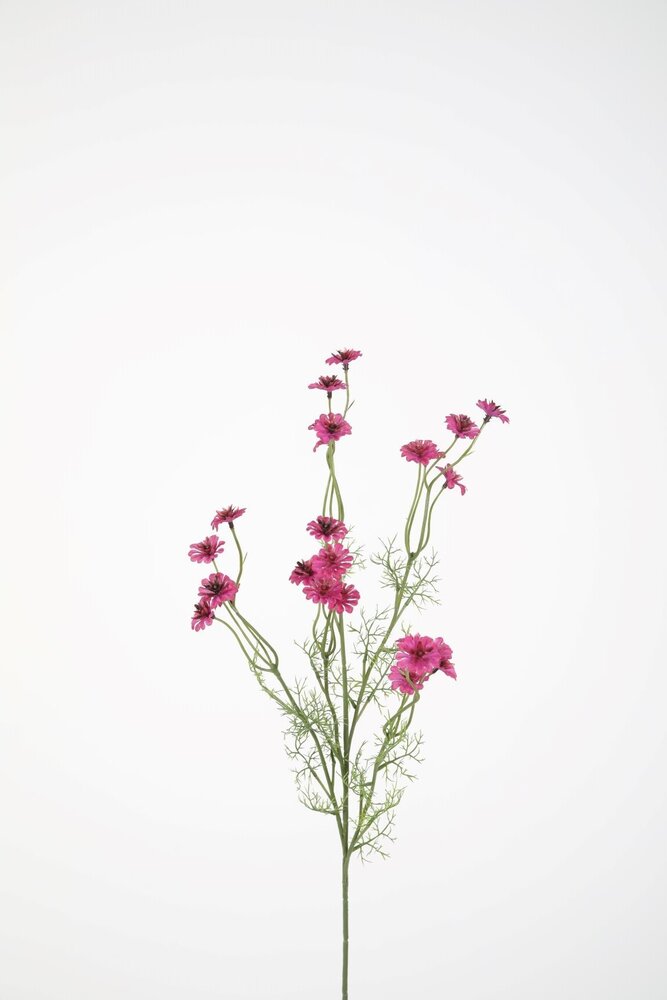 Wild Daisy Spray 72cm