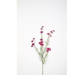 Wild Daisy Spray 72cm