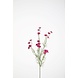 Wild Daisy Spray 72cm