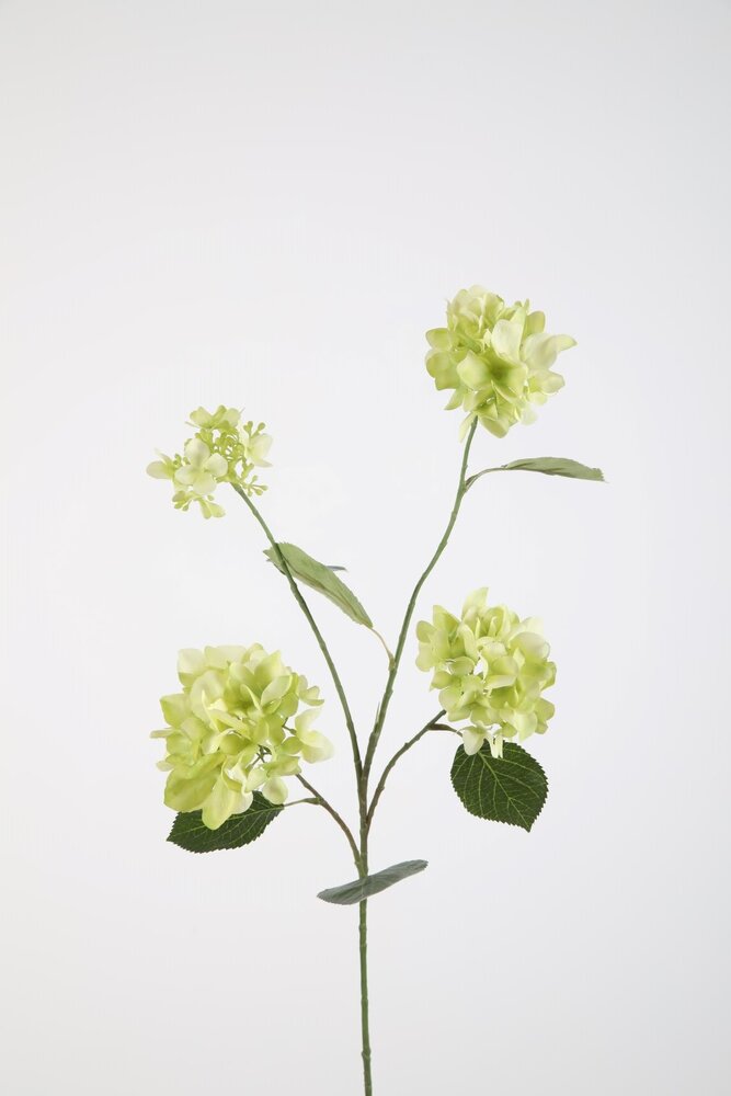 Hydrangea Spray 80cm Hydrangea Spray 80cm