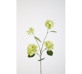 Hydrangea Spray 80cm Hydrangea Spray 80cm