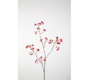 Bittersweet 92cm Bittersweet 92cm