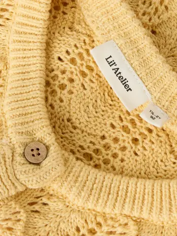 Lil' Atelier Fea LS Knit Card - Sahara Sun