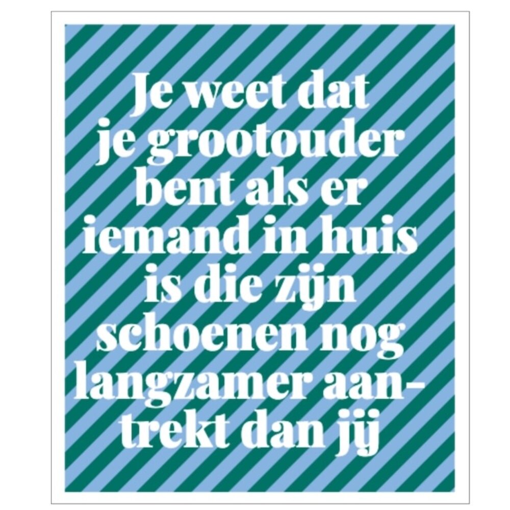 Snor Handboek voor opa's en oma's