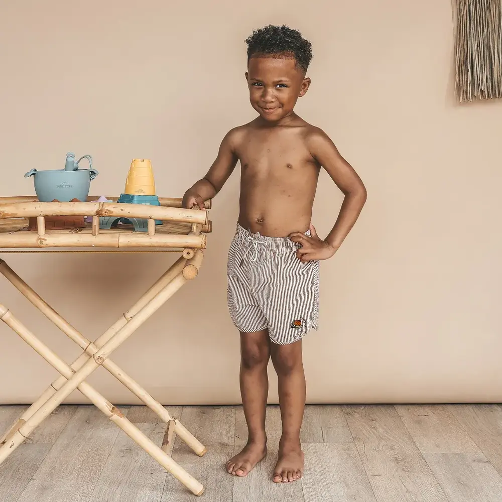 Salted Stories Seersucker | Swim Shorts | Bombay Brown