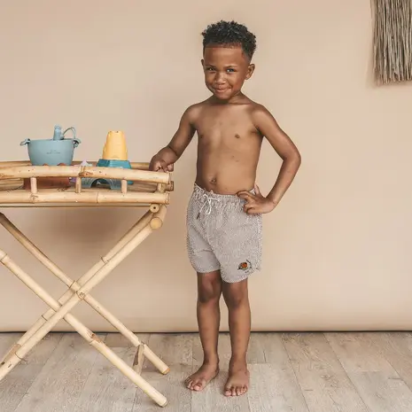 Salted Stories Seersucker | Swim Shorts | Bombay Brown