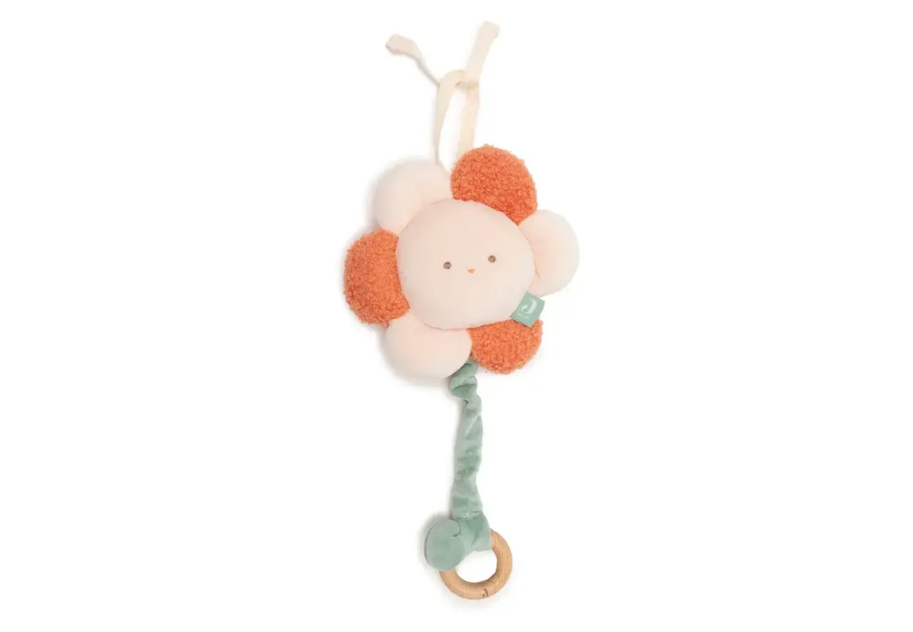 Jollein Muziekhanger - Pretty Picnic