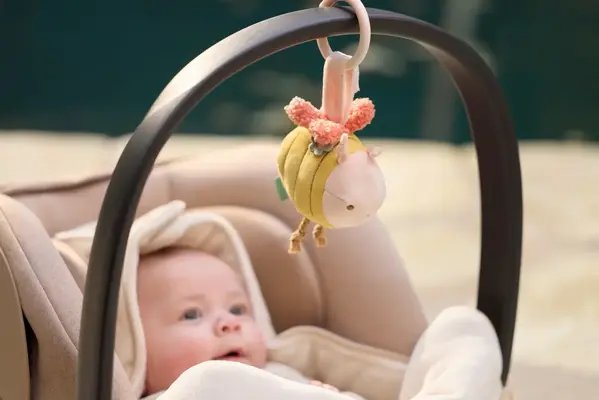 Jollein Wagenhanger - Pretty Picnic