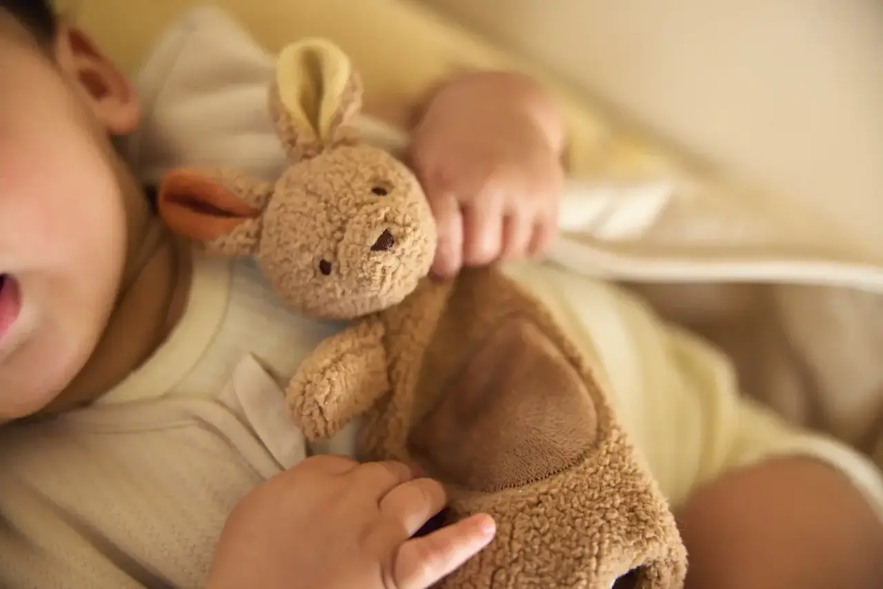 Jollein Speendoekje Kangaroots Jollein Speendoekje Kangaroots