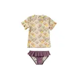 Salted Stories Shells | Set | Multicolor