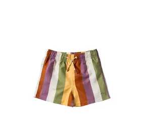 Salted Stories Multi Stripe | Swim Shorts | Multicolor