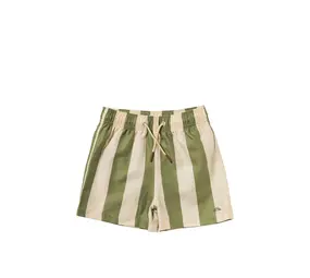 Salted Stories Wide Stripe | Swim Shorts | Iguana