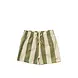 Salted Stories Wide Stripe | Swim Shorts | Iguana