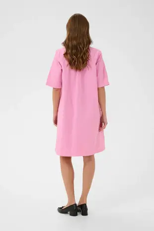 Culture Ayna SS Dress - Pink Stripe