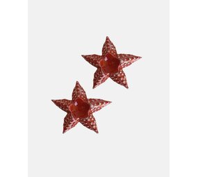 Studio Noticed Zeester eierdopjes - set van 2