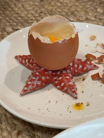 Studio Noticed Zeester eierdopjes - set van 2