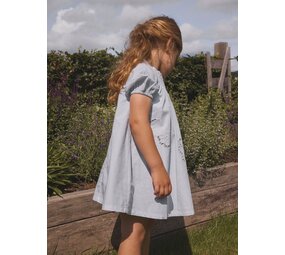 Lil' Atelier Faustine ss Loose Dress – Gray Dawn