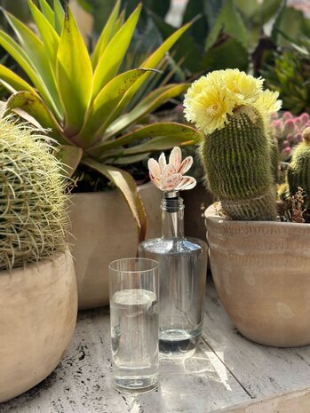 Studio Noticed Flessenstop met Schelpen