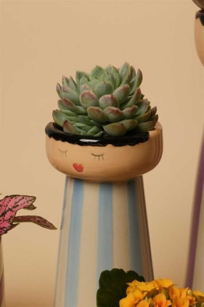 Eja International Vaas mrs & miss - Red/light blue