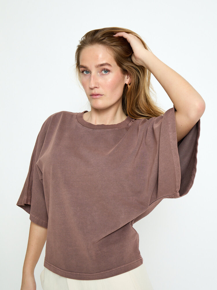 Peppercorn Ricky T-Shirt - Mink Brown