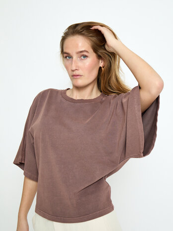 Peppercorn Ricky T-Shirt - Mink Brown