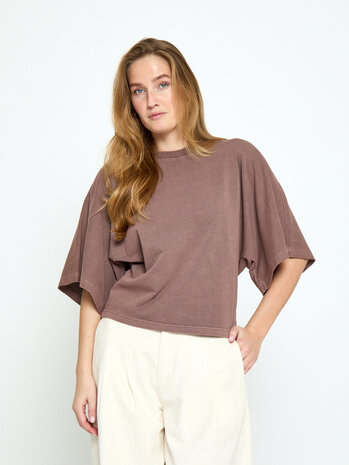 Peppercorn Ricky T-Shirt - Mink Brown
