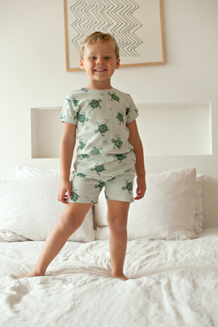 Feetje Timmy Turtle - Premium Summerwear by Feetje