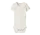 Gayo Koe Slim Body – Coconut Milk