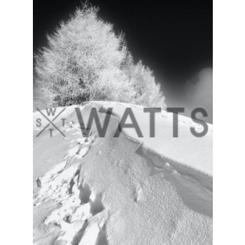 WATTS