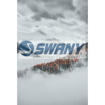 SWANY