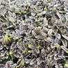 Leptinella Leptinella squalida 'Platt's Black' Leptinella Leptinella squalida 'Platt's Black'