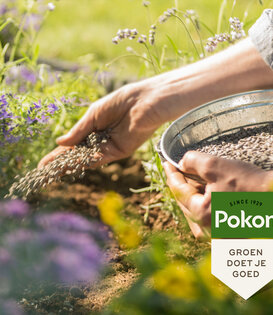Pokon Bio Tuinmest