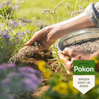 Pokon : Dé Marktleider in plant en tuin verzorging