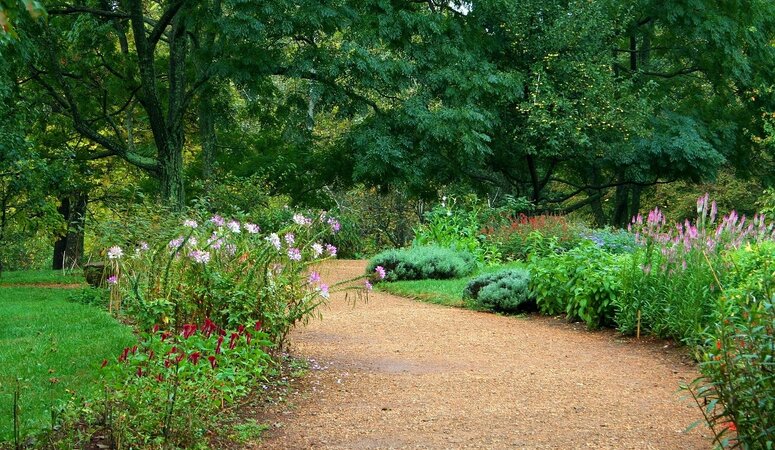 Soorten beplanting