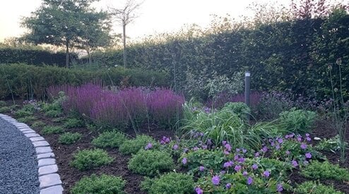Wat is een Border