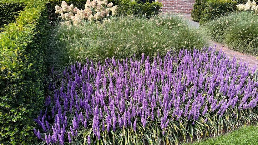 Creëer zelf een beplantingsplan voor uw border!