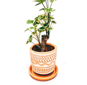 Colombian Boho Terracotta pot gegraveerd wit N2 D9 H8