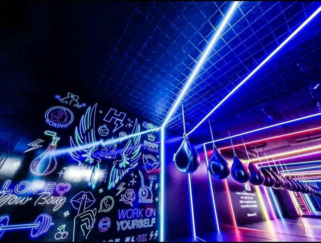 LED sportschool verlichting regelbare lichtlijnen en dimbare spots