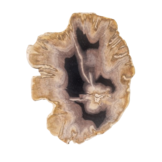 Versteend houten design lamp -  Dual White - 2700k - 6500k - #103