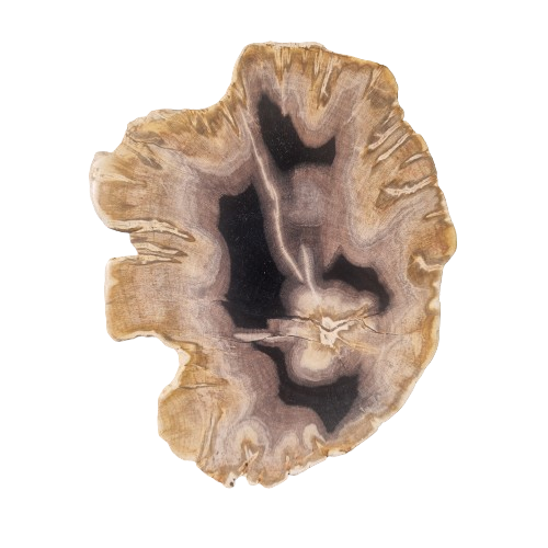 Versteend houten design lamp -  Dual White - 2700k - 6500k - #103