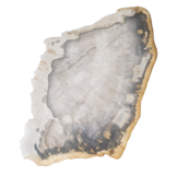 Versteend houten design lamp -  Dual White - 2700k - 6500k - #102