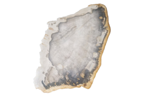 Versteend houten design lamp -  Dual White - 2700k - 6500k - #102