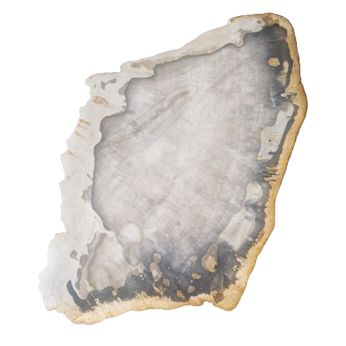 Versteend houten design lamp -  Dual White - 2700k - 6500k - #102