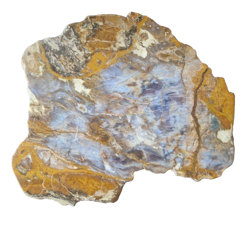 Versteend houten design lamp -  Dual White - 2700k - 650k - #106