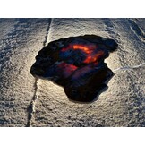 Versteend houten design lamp -  Dual White - 2700k - 650k - #106