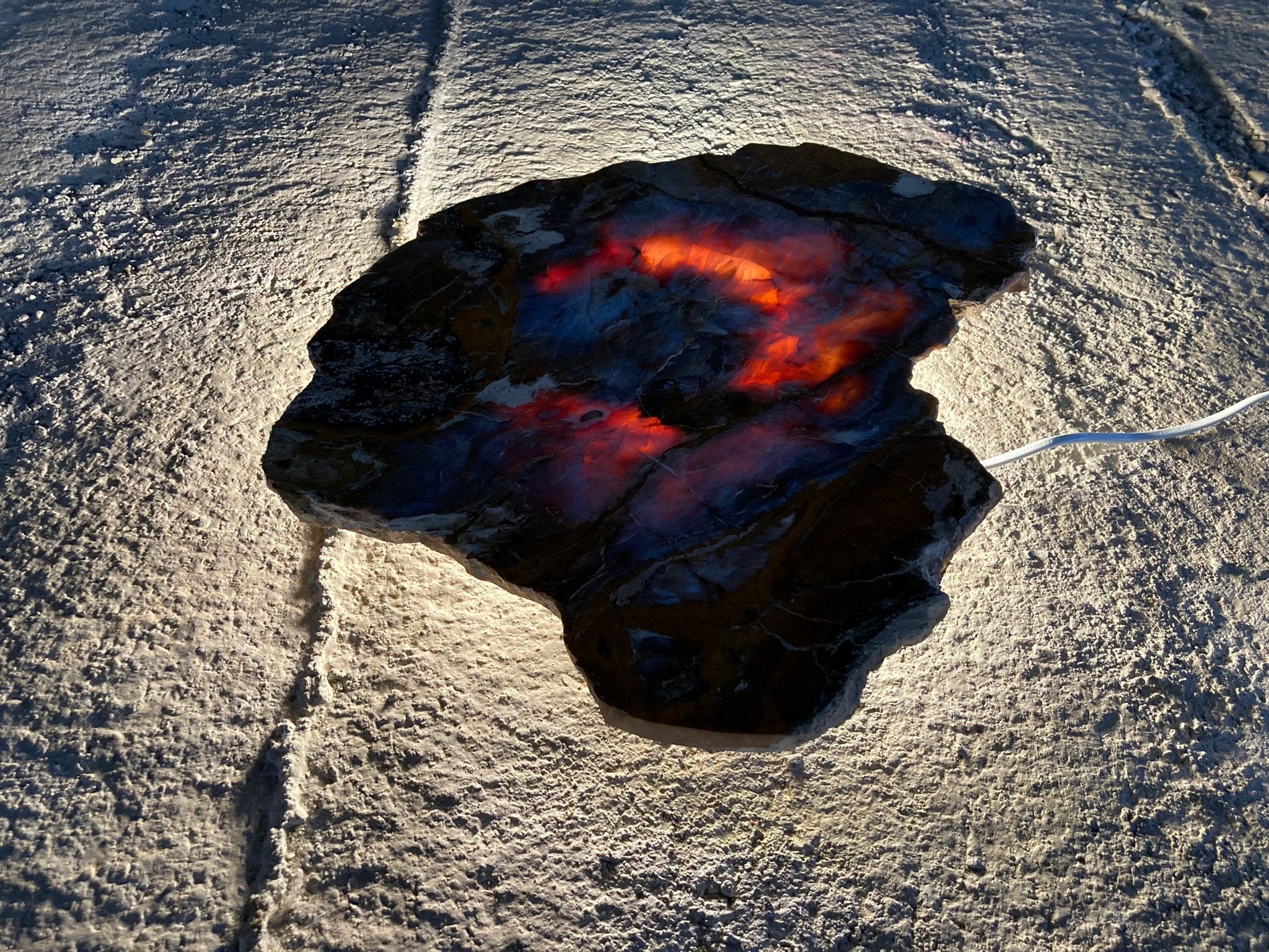 Versteend houten design lamp -  Dual White - 2700k - 650k - #106