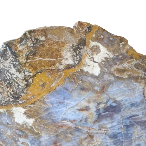 Versteend houten design lamp -  Dual White - 2700k - 650k - #106