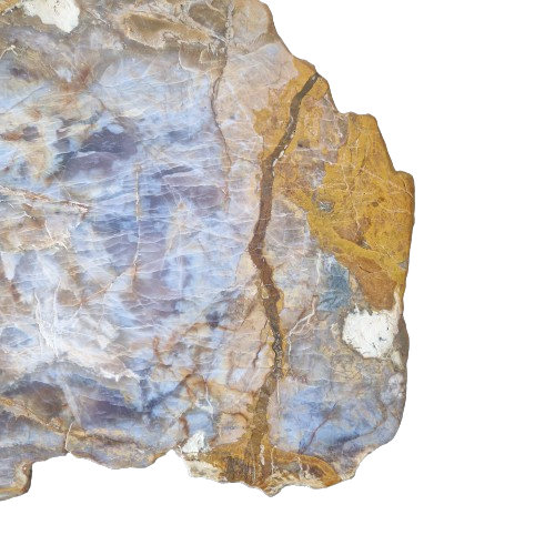 Versteend houten design lamp -  Dual White - 2700k - 650k - #106