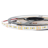 LED Strip 12 Volt 6000k Koud Wit 9,6W 1020lm/meter 120 LED/m IP20 10M Rol